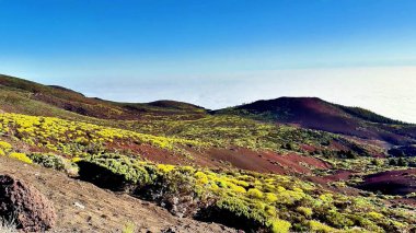 Göz kamaştırıcı volkanik bir manzara canlı kır çiçekleri ve uzaktaki muhteşem bulut denizi ile süslenmiş.