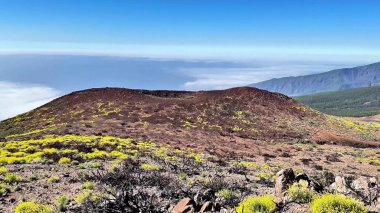 Canlı bitki örtüsü ve görkemli dağların sisle kaplanmış nefes kesici manzarası güzellikleri gözler önüne seriyor.