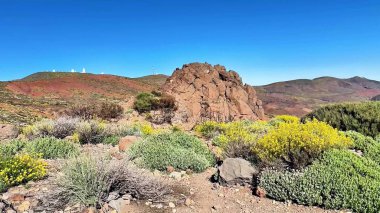 Nefes kesici ve çarpıcı bir manzara berrak mavi gökyüzünün altında canlı bitki örtüsüyle süslenmiş kayalık bir arazi.