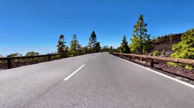 Görkemli ve dolambaçlı bir yol engin mavi gökyüzünün altındaki canlı ağaçların arasında zarif bir şekilde dolanıyor.