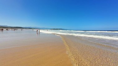 Sakin bir sahil sahnesi berrak mavi gökyüzünü ve kumlu sahilde hafifçe süzülen yumuşak okyanus dalgalarını gösteriyor.
