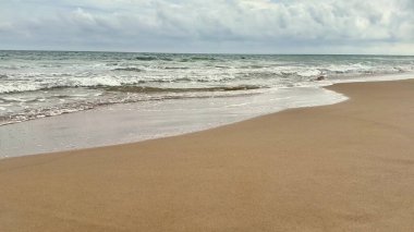 Yumuşak, sıcak kumlu, yumuşak dalgalı, karamsar gökyüzünün yanında dalgalı büyüleyici bir sahil manzarası.