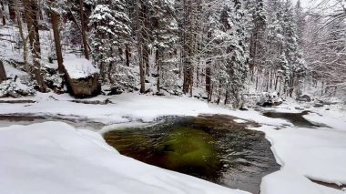 Güzel, sakin bir kış sahnesi karla kaplı bir dereyi gösteriyor zarif bir şekilde uzun, görkemli ağaçlarla çevrili.