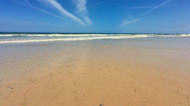 Huzurlu bir sahil sahnesi canlı bir şekilde dalgaların kıyıya vuruşunu ve güzel mavi bir gökyüzünü gösteriyor.