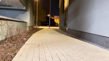 Sıcak ışıklarla aydınlatılan huzurlu bir gece yürüyüşü, uzaktaki çarpıcı şehir mimarisini gözler önüne seriyor.