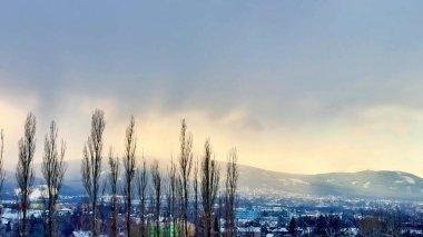 Bu sakin kış sahnesinde uzun ağaçlar karlı dağlara ve bulutlu gökyüzüne karşı barışçıl bir güzellik yaratıyor.