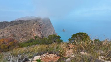 Büyük okyanusa tepeden bakan sisli bir uçurum manzarasının nefes kesici güzelliğini tecrübe edin.