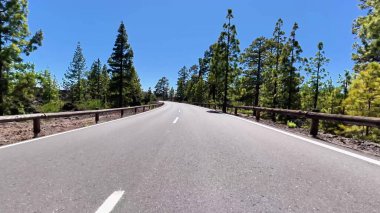 Canlı ağaçlarla çevrili güzel, dolambaçlı bir yol ve berrak mavi bir gökyüzü, gezginler için ideal.