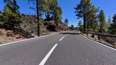 Göz kamaştırıcı derecede güzel ve dolambaçlı bir yol gür yeşil çam ağaçları ve kayalık arazide berrak mavi bir gökyüzünün altında yol alır.