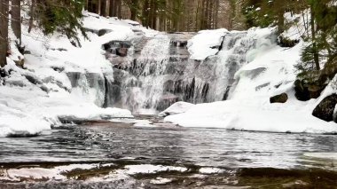 Huzurlu bir kış sahnesi. Huzurlu bir ormanda buz ve kar üzerinde çağlayan görkemli bir şelale..