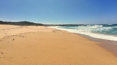 Açık mavi gökyüzünün altında nefes kesici bir kumsal manzarası. Rahatlamak ve doğanın tadını çıkarmak için mükemmel..