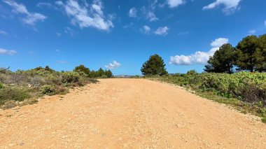 Gelin ve açık mavi gökyüzünün altında yemyeşil yemyeşil ile çevrili şaşırtıcı derecede güzel bir yürüyüş yolunu keşfedin.