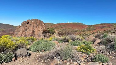 Sersemletici ve nefes kesici kayalık arazi manzarası berrak mavi gökyüzünün altındaki renkli bitki örtüsüyle güzelce süslenmiş.