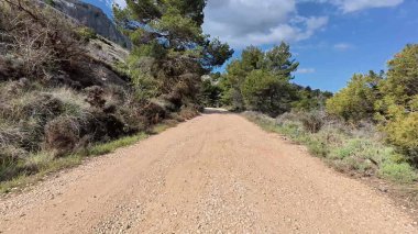 Bereketli ağaçlar ve dağlarla çevrili güzel bir toprak yol keşfet. Açık hava maceraları için mükemmel.