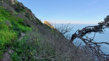 Yeşillik ve nefes kesen okyanus manzaralı çarpıcı bir sahil yolu deneyimleyin.