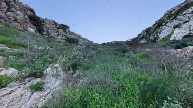 Büyüleyici ve güzel bir kayalık arazi berrak mavi gökyüzünün altında canlı yeşil bitkilerle süslenmiş.