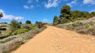 Güzel manzaralı toprak bir yol zarif bir şekilde kıvrımlı ve yemyeşil, güneşli bir günde.