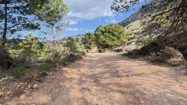 Canlı ağaçlar ve çarpıcı manzaralarla çevrili sakin toprak bir yolda maceraya atılmak.