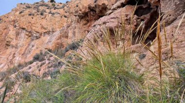 Eşsiz kaya oluşumları ve salınan altın otlarla dolu engebeli bir araziyi keşfedip keşfedin.