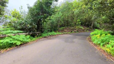 Çok güzel, güzel, dolambaçlı bir yol canlı yeşillikler ve engebeli kayalıklar arasından geçiyor, her şeyi büyülüyor.