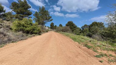 Açık ve güneşli mavi gökyüzünün altında canlı yeşillik ve doğa ile çevrili çarpıcı bir toprak yol.