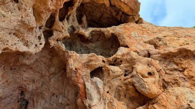 Eşsiz desenli bir kaya oluşumunun yakından görüntüsü çarpıcı ve karmaşık doğal detayları gözler önüne seriyor.