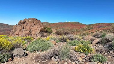 Bu, kayalık arazi ve açık mavi gökyüzünün altındaki renkli bitkilerin sergilendiği çarpıcı doğal bir manzara.