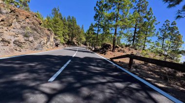 Güzel, dolambaçlı bir yol, yemyeşil bir ormanın içinden geçiyor, göz kamaştırıcı doğal manzaralar sunuyor.