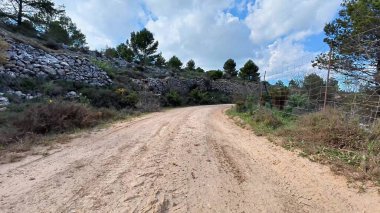 Resmedilmeye değer ve sakin toprak yol berrak mavi gökyüzünün altında canlı, yemyeşil bir bitki örtüsünün içinden geçiyor.