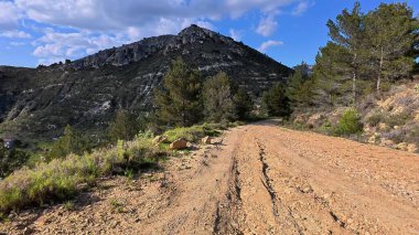 Sakin bir toprak yol görkemli dağlardan ve berrak mavi gökyüzünün altındaki canlı yeşilliklerden geçiyor.