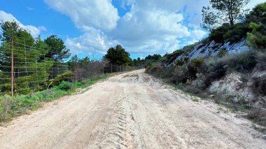 Dolambaçlı bir toprak yol, parlak yaprakların arasında eski bir çitin yanında, berrak mavi bir gökyüzünün altında gezinir.