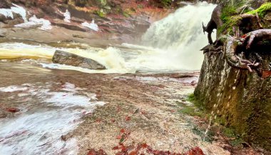 Güçlü bir şelalenin nefes kesici güzelliğini keşfedin. Dokunulmamış doğal arazide çağlayan.