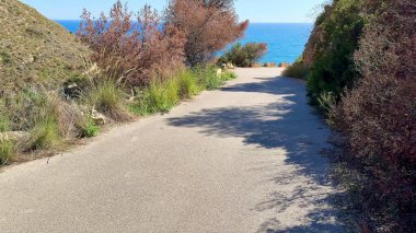 Bereketli bitki örtüsü ve çarpıcı okyanus manzaralarıyla çevrili nefes kesici bir manzara.