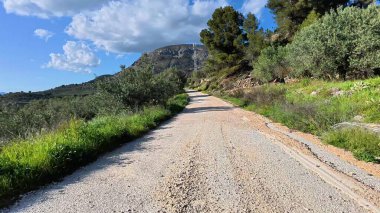 Parlak, bulutsuz, mavi gökyüzünün altındaki yemyeşil çimenlikte güzel bir şekilde esen pitoresk çakıl yolu.