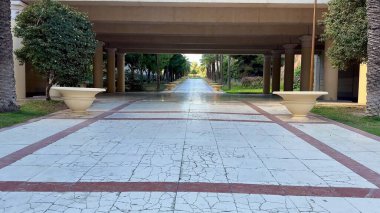 Güzel tasarlanmış kentsel bir alanda canlı palmiyelerle çevrili huzurlu bir yolda yürü.