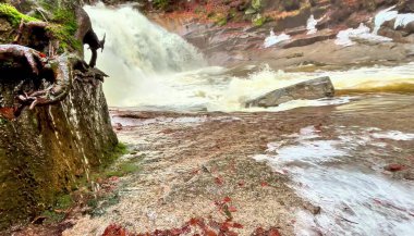 Serin bir şelalenin engebeli kayaların üzerinde şelale gibi hareketli ve bereketli bir manzarayı deneyimleyin.