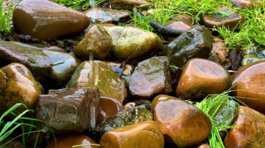 Taze yeşil otlarla çevrili güzel, sakin, pürüzsüz nehir taşlarını sergileyen bir manzara.