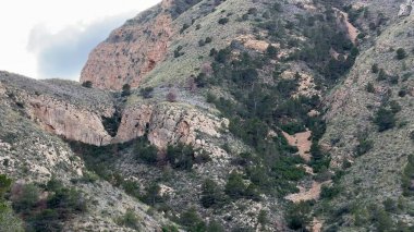 Bulutlu bir gökyüzünün altında yemyeşil bir bitki örtüsüyle süslenmiş kayalık tepelerin nefes kesici ve pitoresk manzarası.