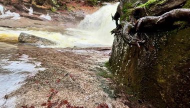 Bereketli yeşillik ve canlı doğa ile çevrili kayaların üzerinde çağlayan bir şelalenin nefes kesici manzarası.