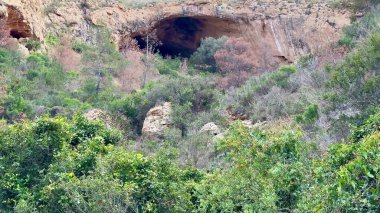 Bereketli yeşilliğin ve gelişen doğanın ortasında, parlak mavi bir gökyüzünün altında, nefes kesici bir mağara keşfedin.