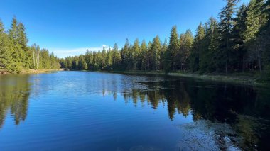 Geniş ve berrak mavi gökyüzünün altında dingin ve sakin bir göl, canlı ağaçları yansıtıyor.