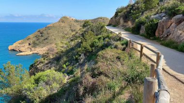 Bereketli yeşilliklerle çevrili çarpıcı bir kıyı yolu keşfedin ve nefes kesici okyanus manzarası sunun.