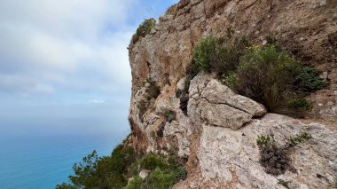 Kıyı kayalıkları manzarasında yemyeşil bitki örtüsü ve sakin okyanus suları mükemmel bir kaçış sunuyor.