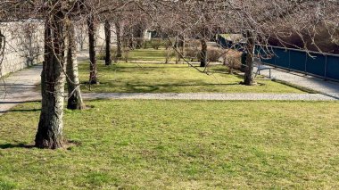 Güneşli bir bahar gününde yapraksız ağaçlarla kaplı güzel bir park yolunun huzurlu ve huzurlu manzarası.