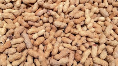 Çok detaylı bir yakın çekim görüntüsü düz bir yüzey boyunca dağılmış sayısız ham, kabuklu fıstık gösteriyor.