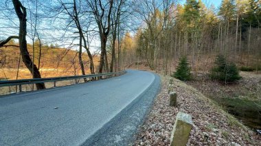 Huzurlu bir ormanda ağaçlarla çevrili şaşırtıcı derecede güzel, dolambaçlı bir yol var.
