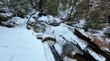 Huzurlu ve huzurlu bir kış manzarası güzel bir şekilde sergileniyor karla kaplı bir dere yüksek ağaçlarla kaplı.