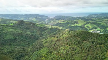 Nefes kesici bir hava manzarası, yemyeşil tepeler ve berrak bir gökyüzünün altında uzanan pitoresk bir okyanusu sergiliyor.