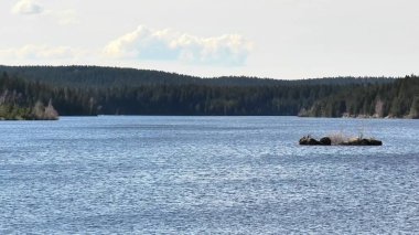 Güneşli bir günde sakin suları ve canlı yeşil ormanları gösteren nefes kesici sakin bir göl manzarası.