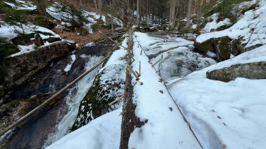 Sakin ve sakin bir kış sahnesi karla kaplı bir ağaç köprüsünü gözler önüne seriyor.